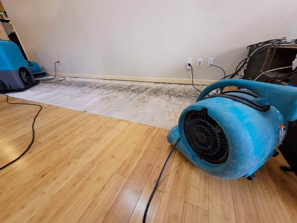 Professional Water Extraction technician working in Sully, IA